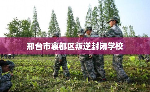 邢台市襄都区叛逆封闭学校 邢台市襄都区叛逆封闭学校