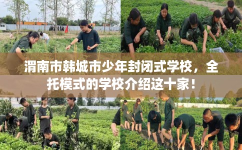 渭南市韩城市少年封闭式学校,全托模式的学校介绍这十家! 渭南市韩城市少年封闭式学校,全托模式的学校介绍这十家!