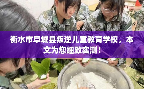 衡水市阜城县叛逆儿童教育学校，本文为您细致实测！
