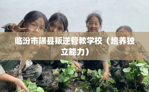 临汾市隰县叛逆管教学校（培养独立能力）