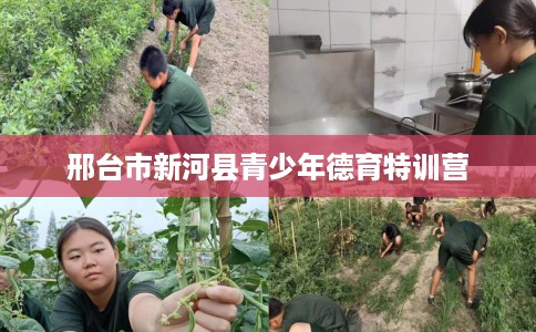 邢台市新河县青少年德育特训营