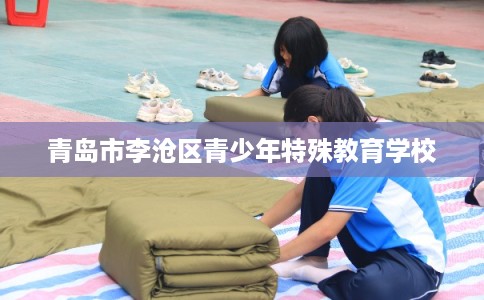 青岛市李沧区青少年特殊教育学校 青岛市李沧区青少年特殊教育学校