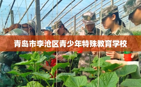 青岛市李沧区青少年特殊教育学校 青岛市李沧区青少年特殊教育学校