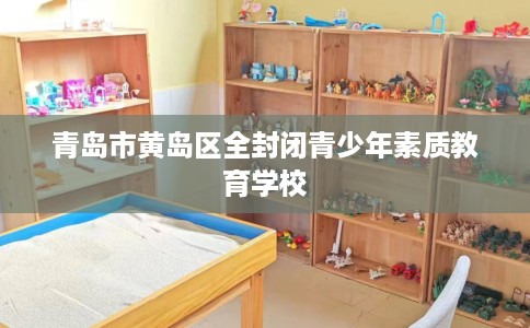 青岛市黄岛区全封闭青少年素质教育学校