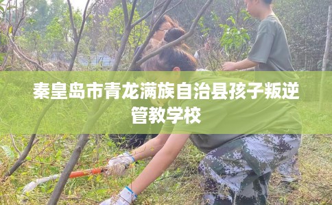 秦皇岛市青龙满族自治县孩子叛逆管教学校 秦皇岛市青龙满族自治县孩子叛逆管教学校