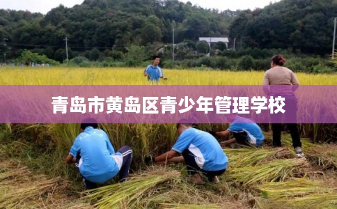 青岛市黄岛区青少年管理学校