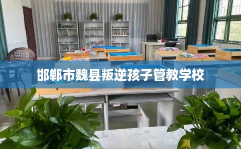 邯郸市魏县叛逆孩子管教学校