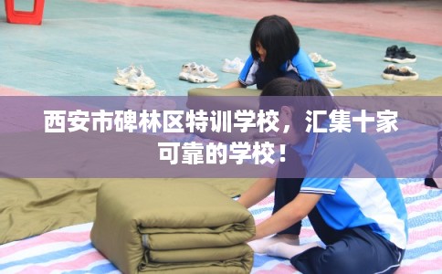 西安市碑林区特训学校,汇集十家可靠的学校! 西安市碑林区特训学校,汇集十家可靠的学校!