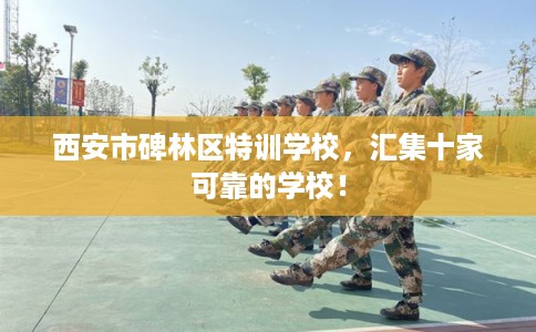西安市碑林区特训学校,汇集十家可靠的学校! 西安市碑林区特训学校,汇集十家可靠的学校!