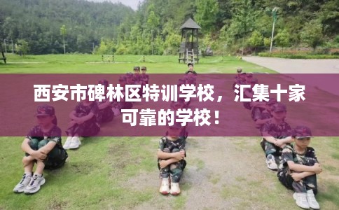 西安市碑林区特训学校,汇集十家可靠的学校! 西安市碑林区特训学校,汇集十家可靠的学校!