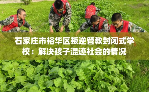 石家庄市裕华区叛逆管教封闭式学校：解决孩子混迹社会的情况