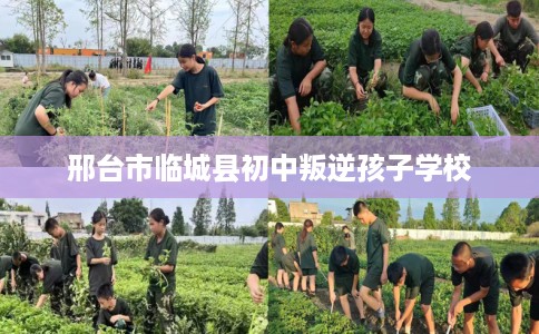 邢台市临城县初中叛逆孩子学校