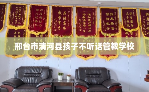 邢台市清河县孩子不听话管教学校 邢台市清河县孩子不听话管教学校