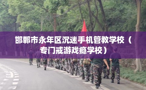 邯郸市永年区沉迷手机管教学校（专门戒游戏瘾学校）