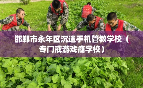 邯郸市永年区沉迷手机管教学校（专门戒游戏瘾学校）