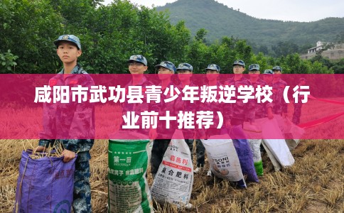咸阳市武功县青少年叛逆学校(行业前十推荐) 咸阳市武功县青少年叛逆学校(行业前十推荐)