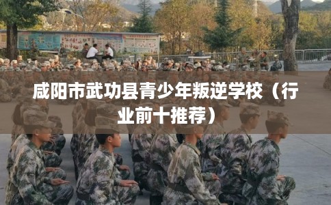 咸阳市武功县青少年叛逆学校（行业前十推荐）