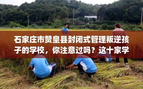 石家庄市赞皇县封闭式管理叛逆孩子的学校,你注意过吗?这十家学校! 石家庄市赞皇县封闭式管理叛逆孩子的学校,你注意过吗?这十家学校!