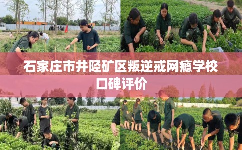 石家庄市井陉矿区叛逆戒网瘾学校口碑评价