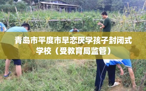 青岛市平度市早恋厌学孩子封闭式学校（受教育局监管）