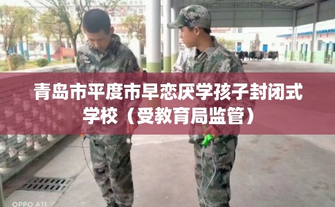 青岛市平度市早恋厌学孩子封闭式学校（受教育局监管）