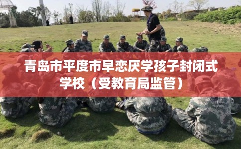 青岛市平度市早恋厌学孩子封闭式学校（受教育局监管）