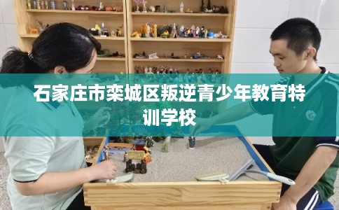石家庄市栾城区叛逆青少年教育特训学校 石家庄市栾城区叛逆青少年教育特训学校