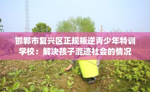 邯郸市复兴区正规叛逆青少年特训学校:解决孩子混迹社会的情况 邯郸市复兴区正规叛逆青少年特训学校:解决孩子混迹社会的情况