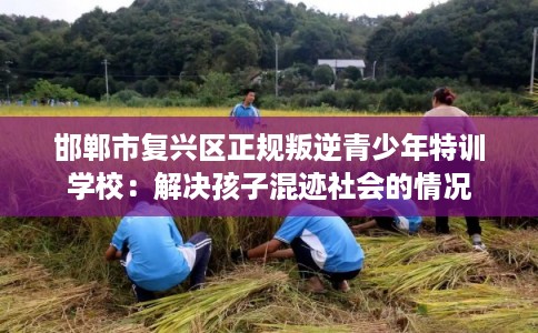 邯郸市复兴区正规叛逆青少年特训学校：解决孩子混迹社会的情况