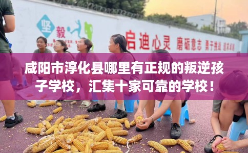 咸阳市淳化县哪里有正规的叛逆孩子学校,汇集十家可靠的学校! 咸阳市淳化县哪里有正规的叛逆孩子学校,汇集十家可靠的学校!
