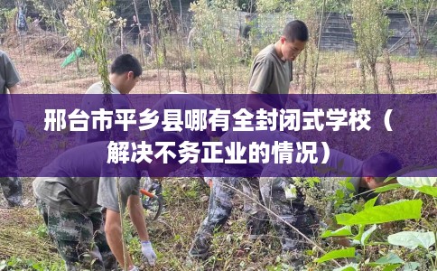 邢台市平乡县哪有全封闭式学校(解决不务正业的情况) 邢台市平乡县哪有全封闭式学校(解决不务正业的情况)