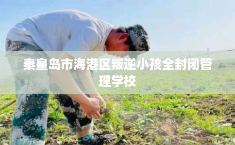 秦皇岛市海港区叛逆小孩全封闭管理学校 秦皇岛市海港区叛逆小孩全封闭管理学校
