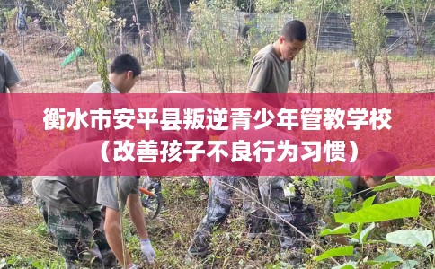 衡水市安平县叛逆青少年管教学校（改善孩子不良行为习惯）