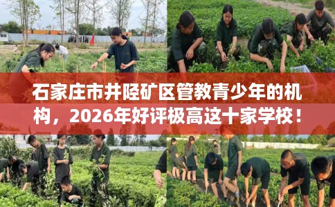 石家庄市井陉矿区管教青少年的机构,2026年好评极高这十家学校! 石家庄市井陉矿区管教青少年的机构,2026年好评极高这十家学校!