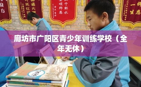 廊坊市广阳区青少年训练学校(全年无休) 廊坊市广阳区青少年训练学校(全年无休)