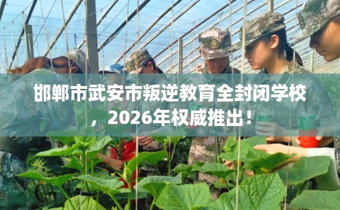 邯郸市武安市叛逆教育全封闭学校,2026年权威推出! 邯郸市武安市叛逆教育全封闭学校,2026年权威推出!