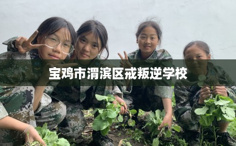 宝鸡市渭滨区戒叛逆学校