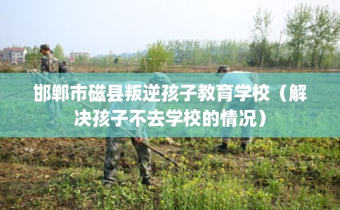 邯郸市磁县叛逆孩子教育学校(解决孩子不去学校的情况) 邯郸市磁县叛逆孩子教育学校(解决孩子不去学校的情况)