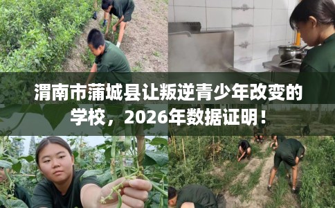 渭南市蒲城县让叛逆青少年改变的学校，2026年数据证明！