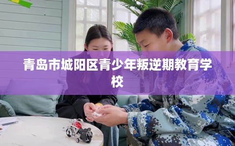 青岛市城阳区青少年叛逆期教育学校 青岛市城阳区青少年叛逆期教育学校