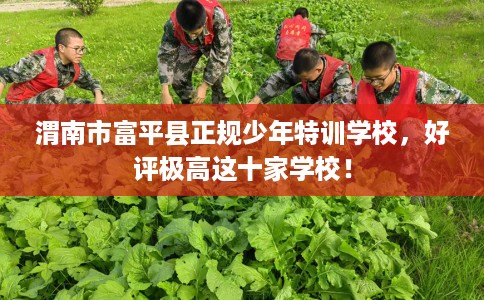 渭南市富平县正规少年特训学校,好评极高这十家学校! 渭南市富平县正规少年特训学校,好评极高这十家学校!