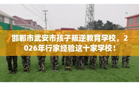 邯郸市武安市孩子叛逆教育学校,2026年行家经验这十家学校! 邯郸市武安市孩子叛逆教育学校,2026年行家经验这十家学校!