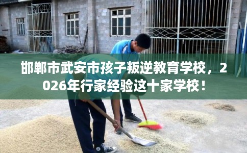 邯郸市武安市孩子叛逆教育学校,2026年行家经验这十家学校! 邯郸市武安市孩子叛逆教育学校,2026年行家经验这十家学校!