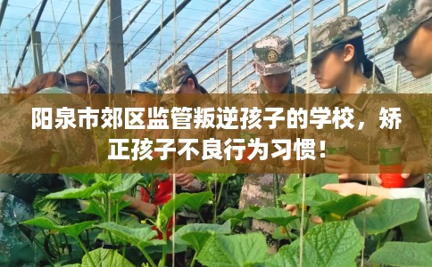 阳泉市郊区监管叛逆孩子的学校，矫正孩子不良行为习惯！