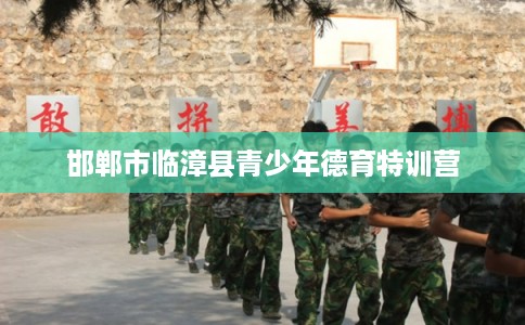 邯郸市临漳县青少年德育特训营 邯郸市临漳县青少年德育特训营