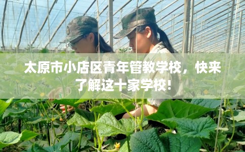 太原市小店区青年管教学校，快来了解这十家学校!