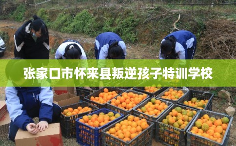 张家口市怀来县叛逆孩子特训学校