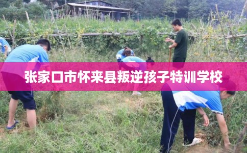 张家口市怀来县叛逆孩子特训学校