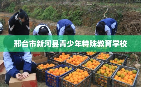 邢台市新河县青少年特殊教育学校 邢台市新河县青少年特殊教育学校