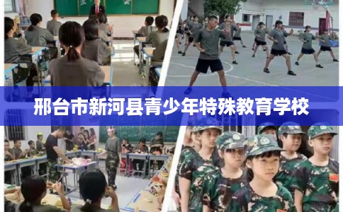 邢台市新河县青少年特殊教育学校 邢台市新河县青少年特殊教育学校